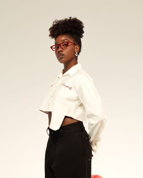 Camisa Formal Palazze Mujer